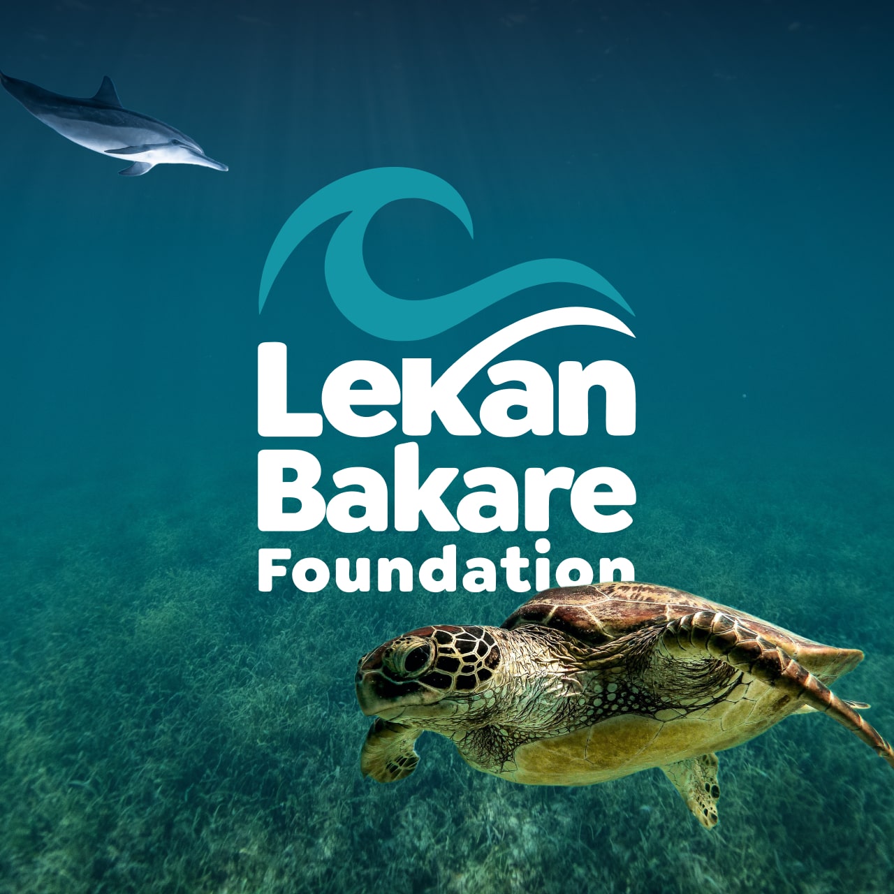 View the Lekan Bakare Foundation project